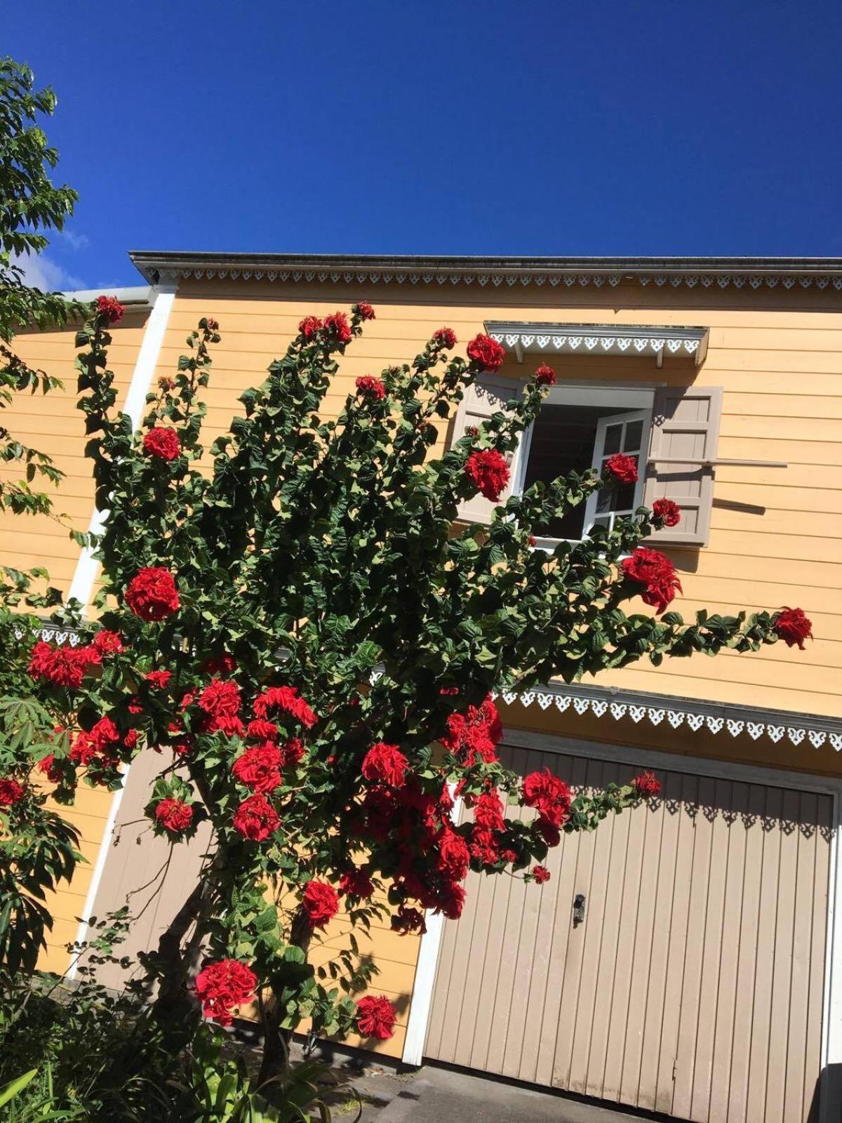 Relais Des Gouverneurs Salazie Eksteriør bilde